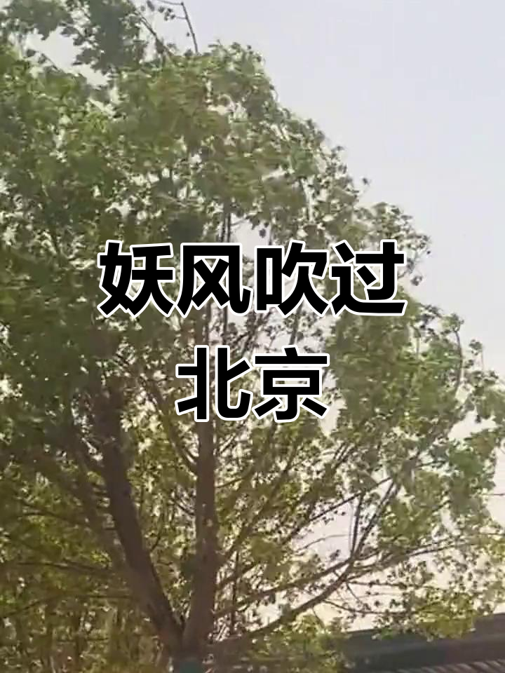 北京大风来袭,妖风瞬间抓拍!