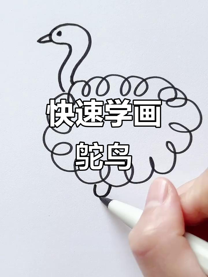 10秒学会画奔跑的鸵鸟,简单又有趣