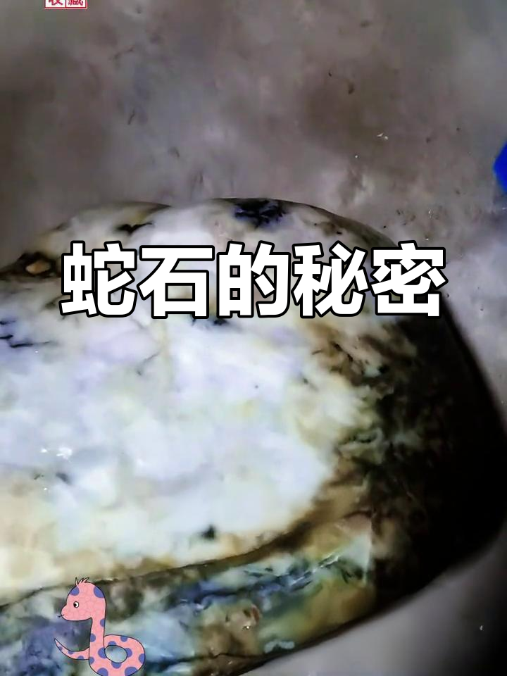 蛇石千年,风沙洗尽,星辰移位,岩中藏有神秘力量