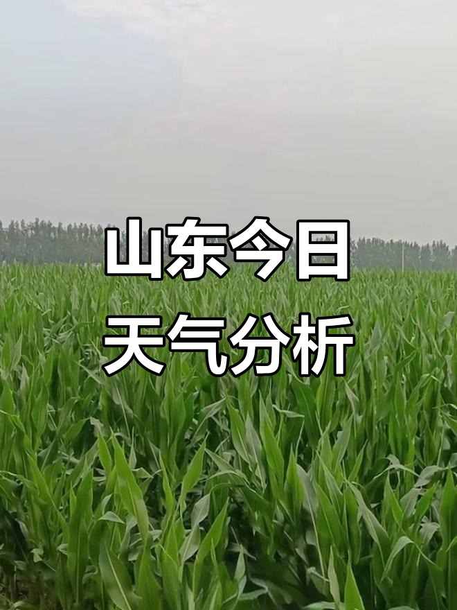 山东五莲县天气预报今日情况