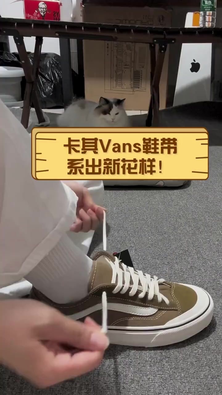 vans鞋带太长系法图解图片