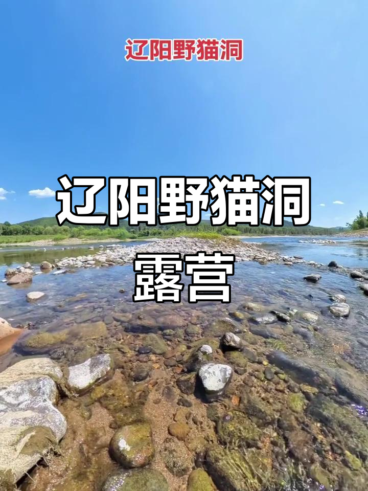 辽阳野猫洞露营,小河流水相伴