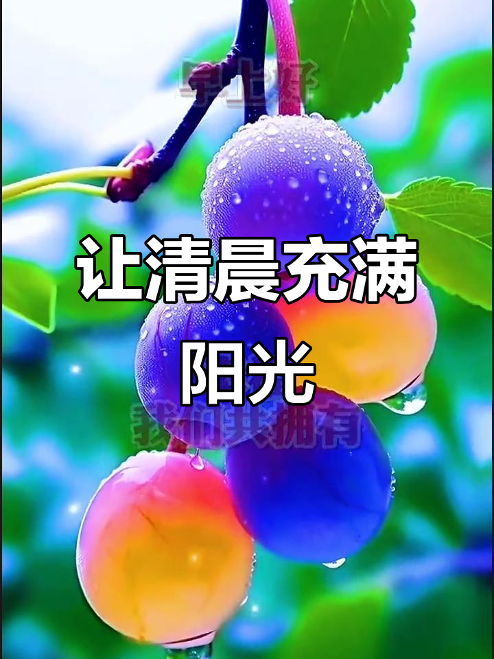 QuickQ官方网站|让你的每一次连接都快速、流畅、不中断。,外链关键词锚文本如何影响搜索引擎权重分配