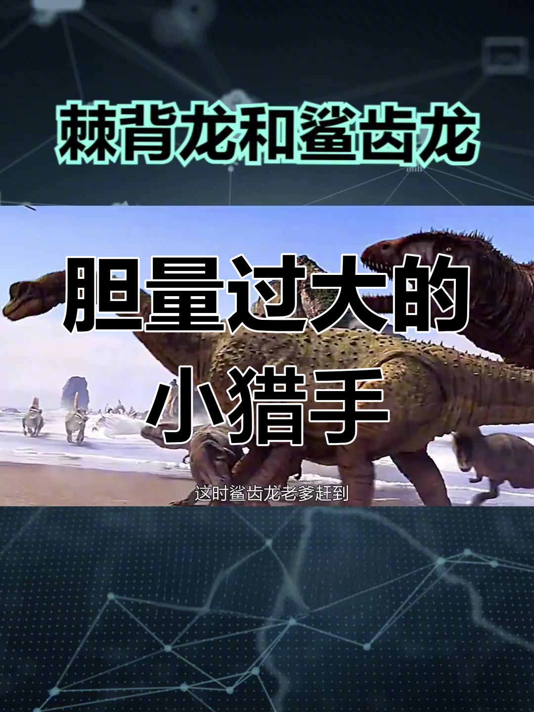 鲨齿龙幼崽勇斗棘龙,海岸争食大作战