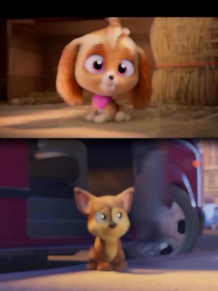 小时候的汪汪队阿奇和天天简直可爱到爆