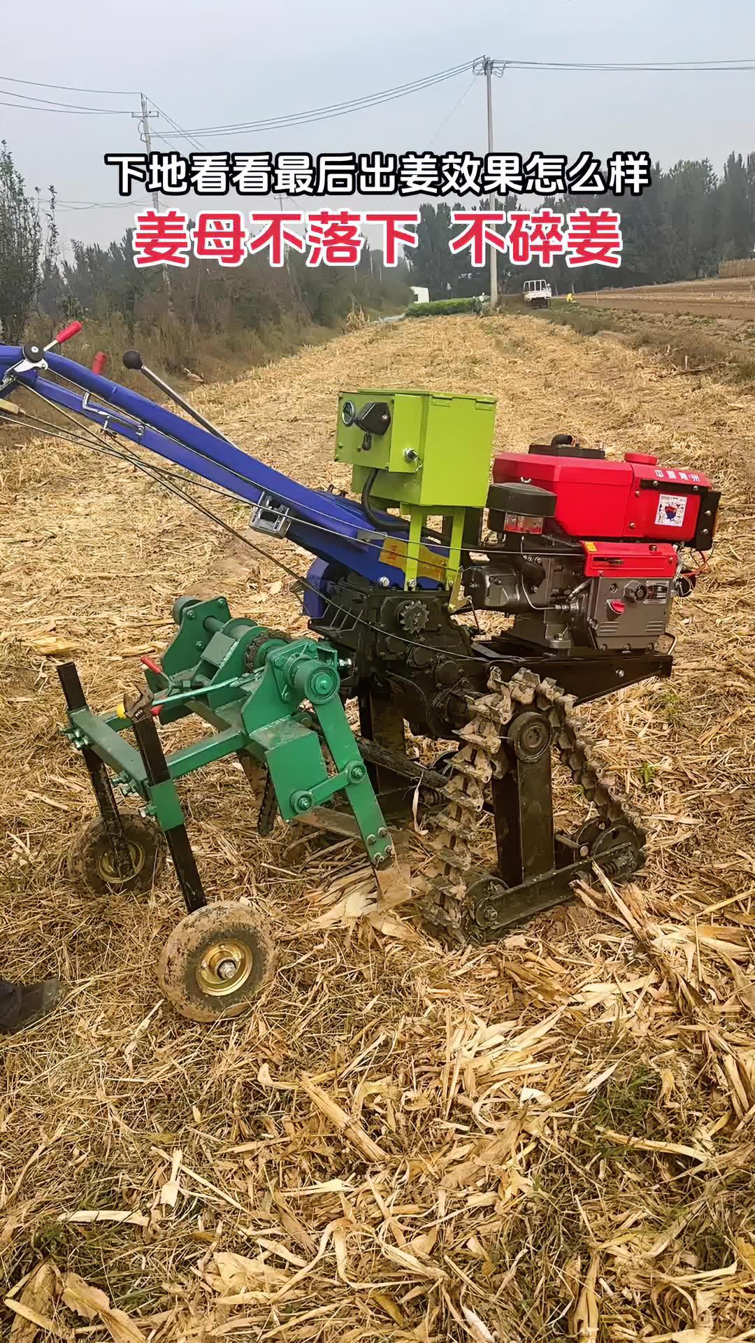 山东开始收姜了,手扶拖拉机带的链轨收获机初次下地,看看怎么样 出姜