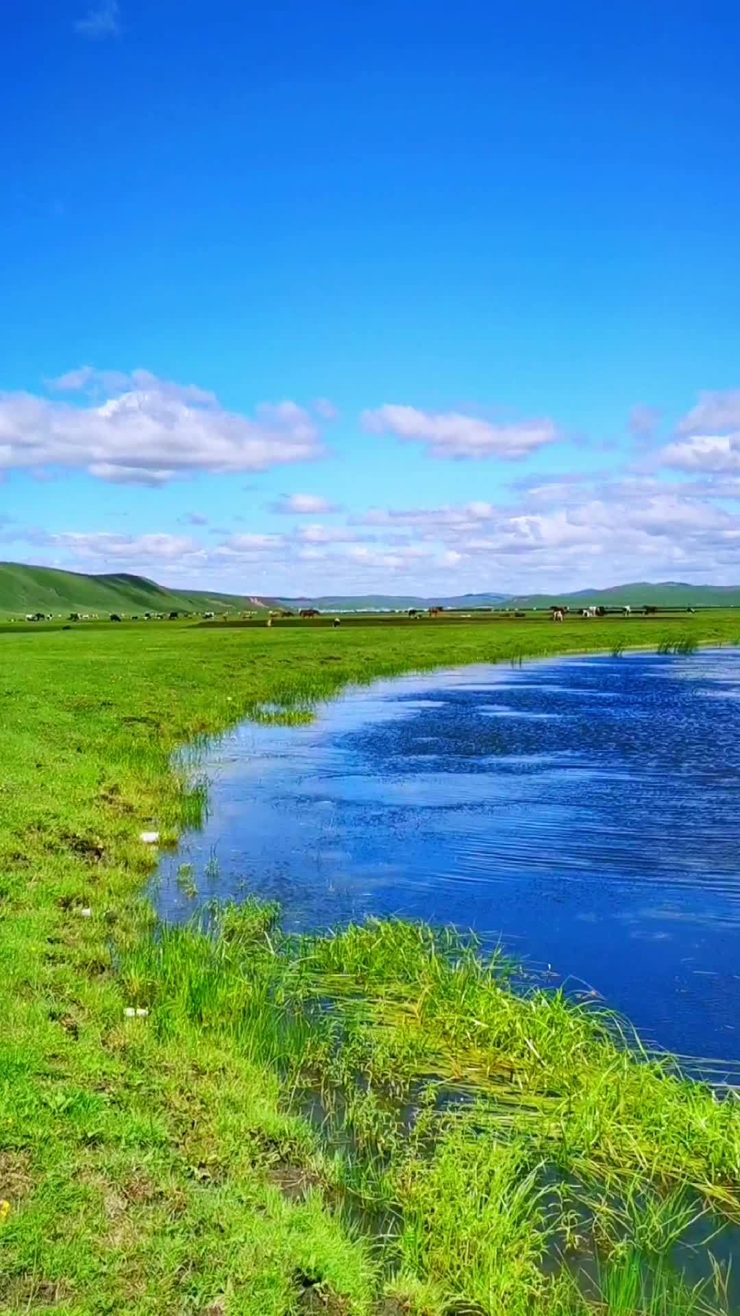 呼伦贝尔大草原 最美的风景在路上 一起享受大自然的美