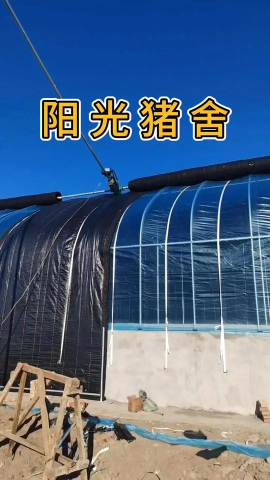 阳光猪圈 温度升温快,保温好!
