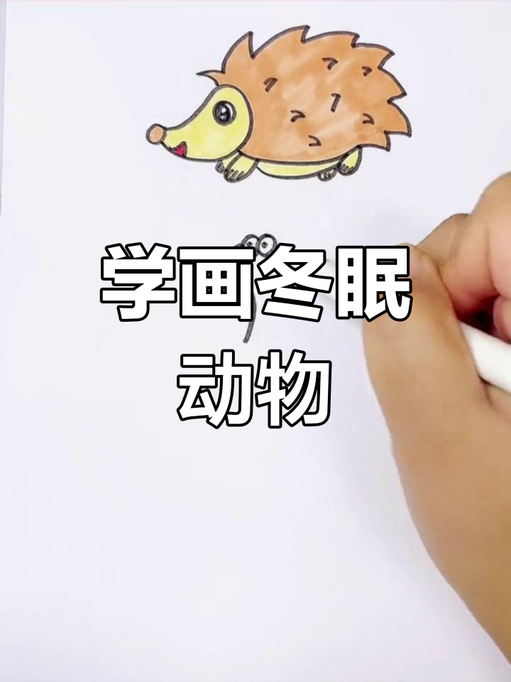 冬眠小动物简笔画教程