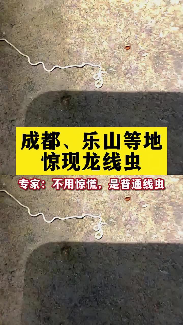 官方回应四川多地疑现龙线虫.寄生虫 龙线虫 科普 户外