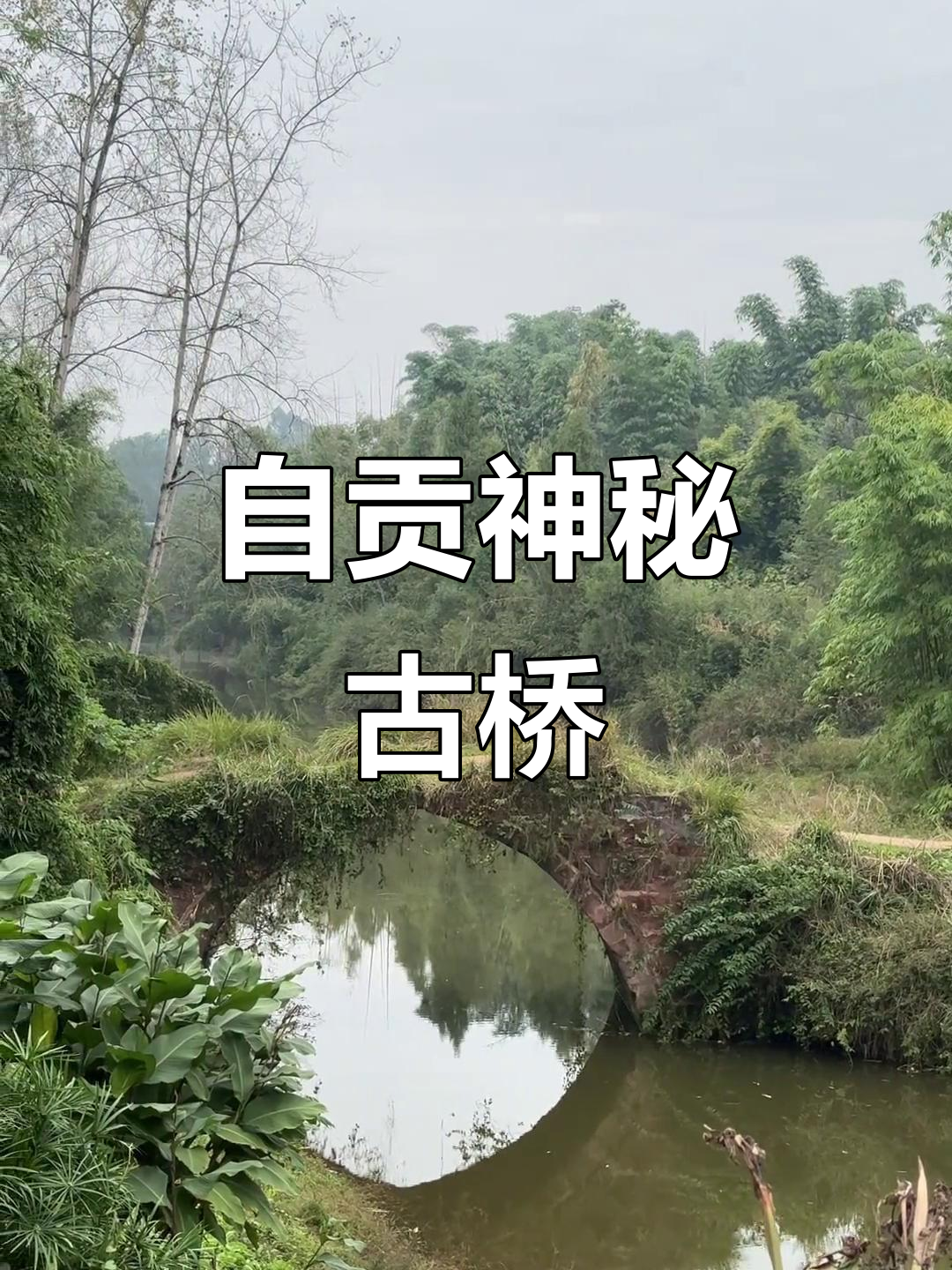 罕见单拱古桥,自贡五宝镇的独特风景