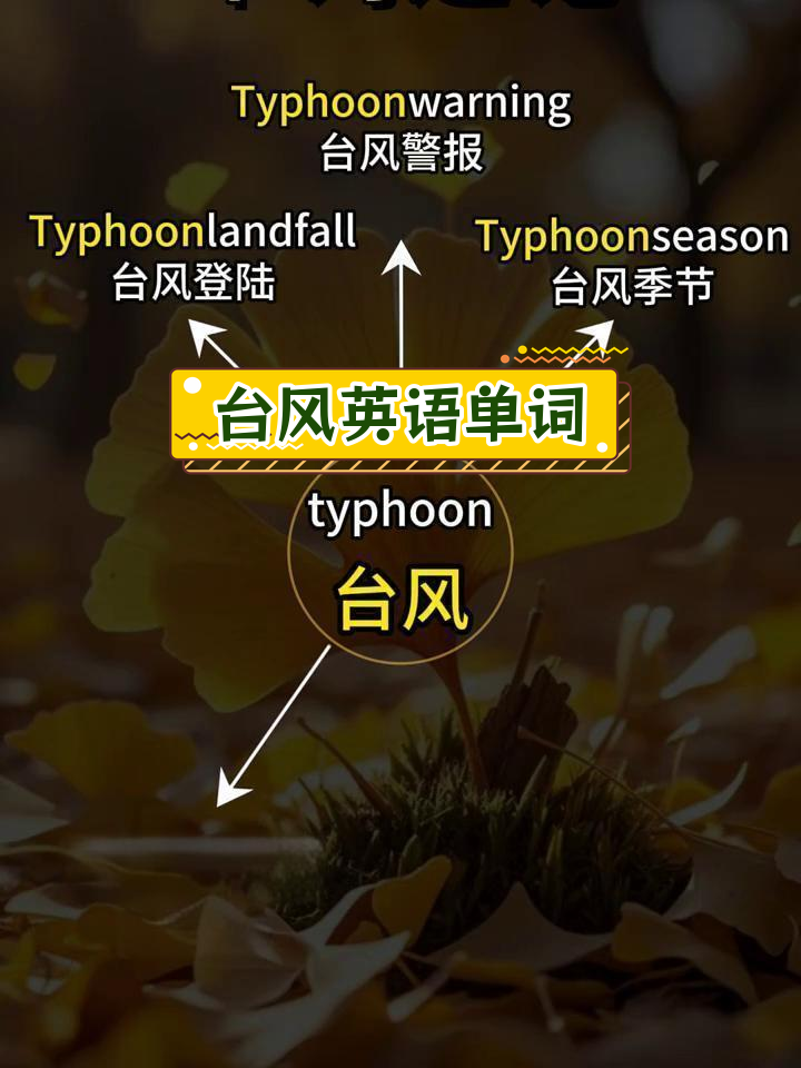 英语口语:台风单词记忆法