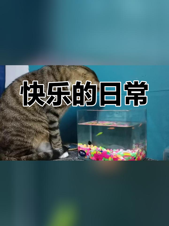 开心时光图片