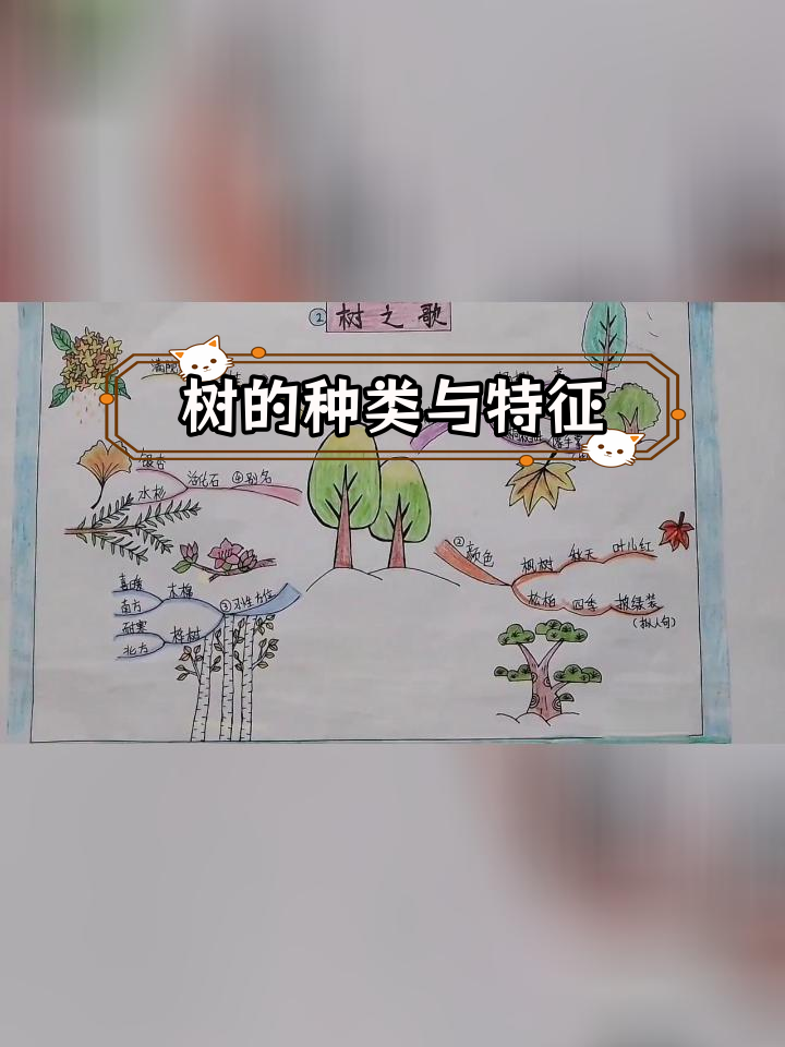 思维导图大树怎么画图片