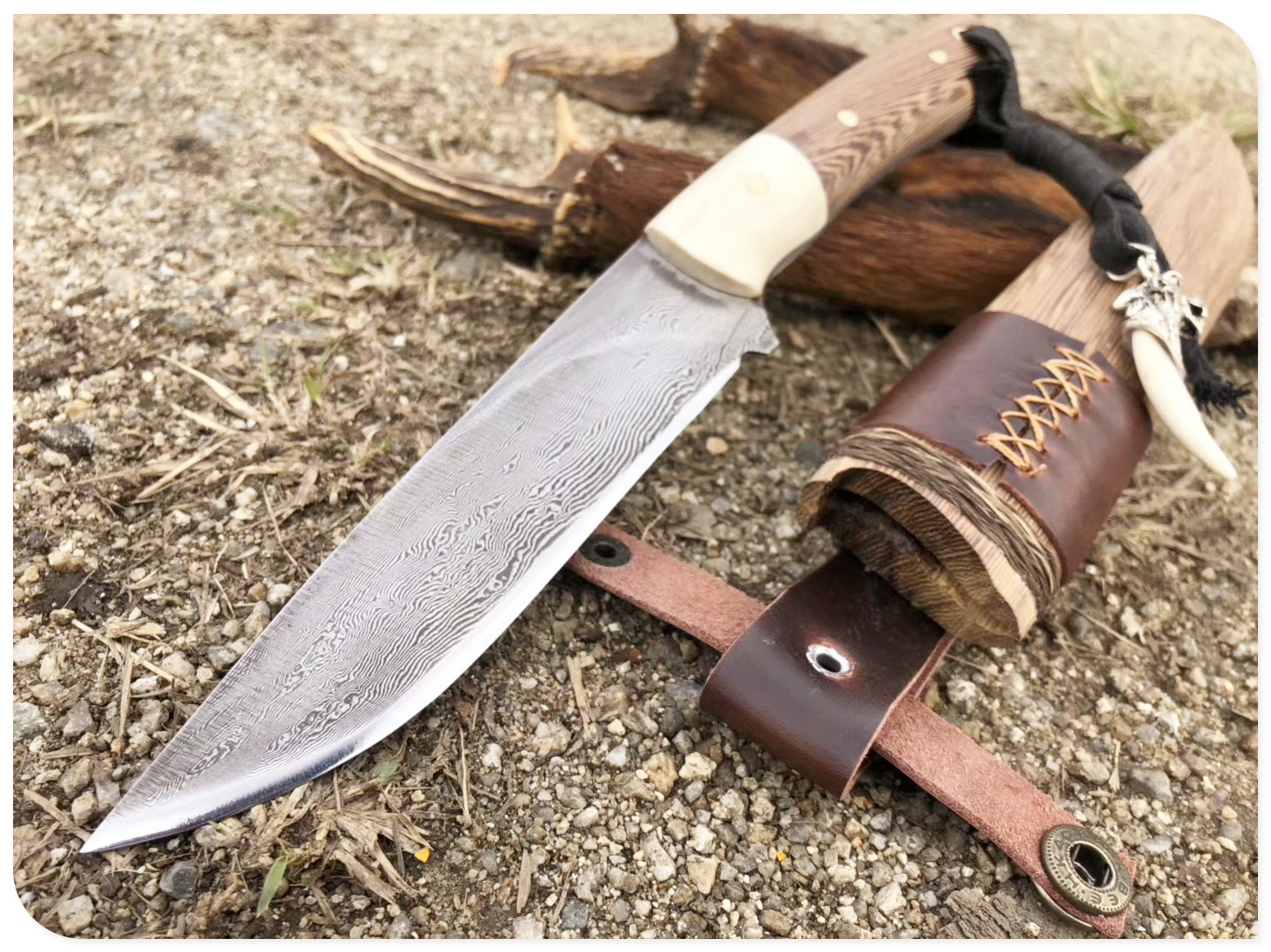 鸡刺- 热门商品专区