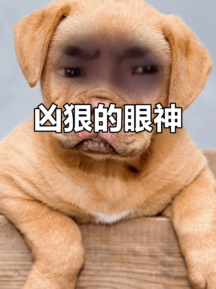 这眼神够犀利,能否匹敌河南的火热?