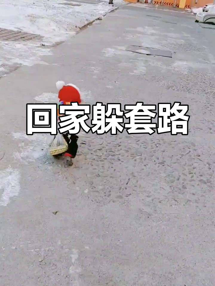 城市套路太深,我要回农村避难