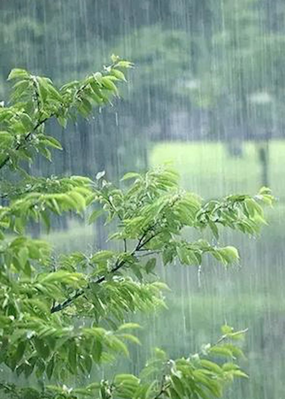 未来三天湖南阴雨连连,湘南局地暴雨,注意防范强对流