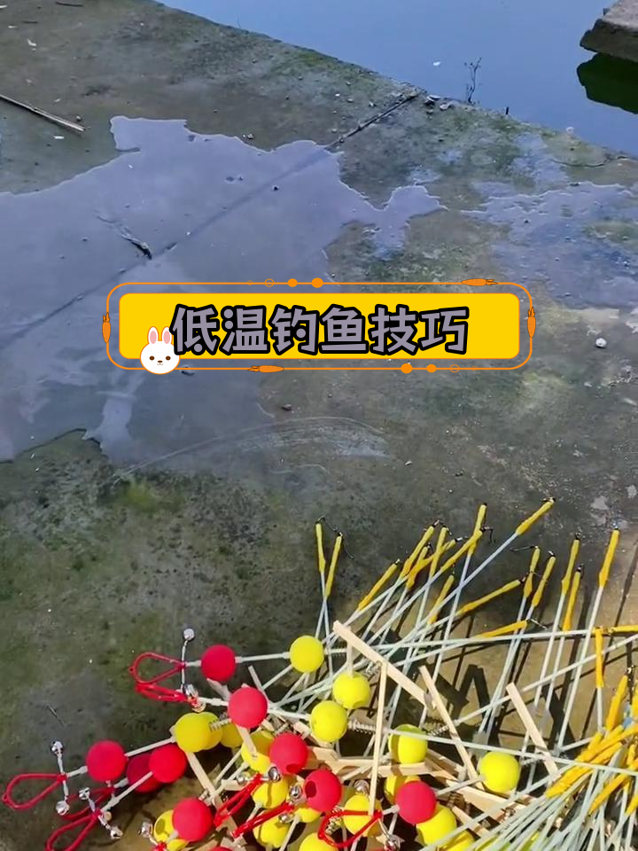 钓黄鳝的技巧图片