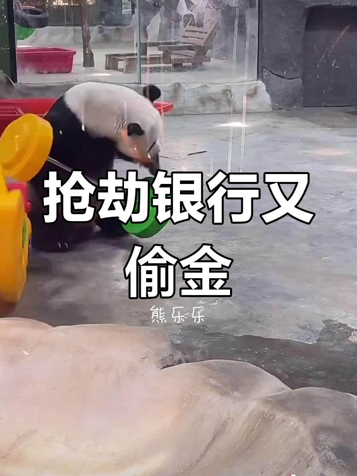 劫匪抢银行后,竟还敢挑战黄金库!