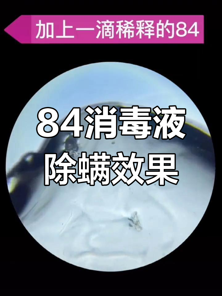 84消毒液有毒吗图片