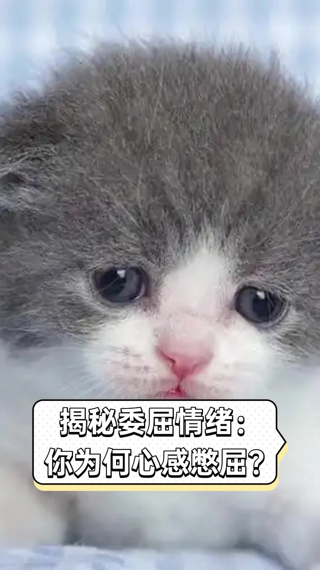 揭秘委屈情绪:你为何心感憋屈?