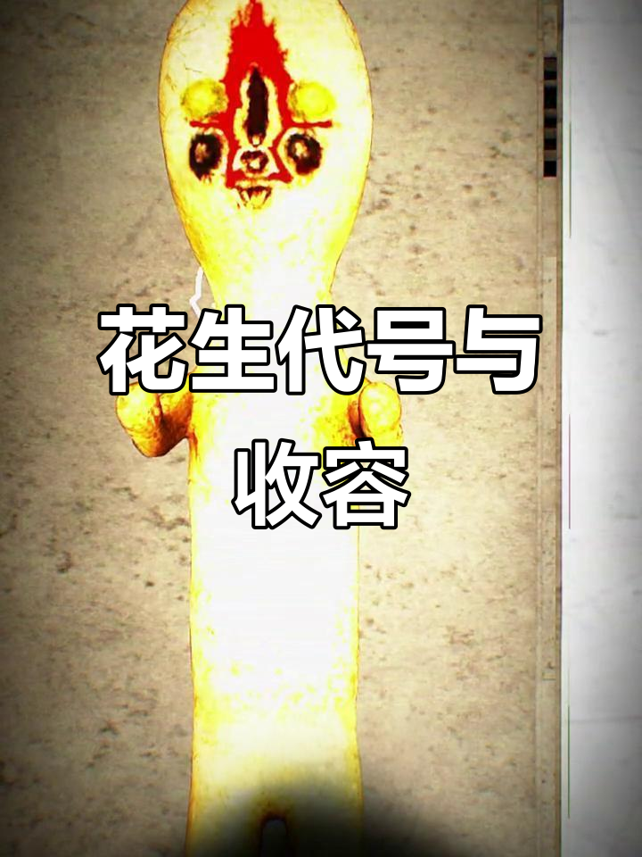 小花生代号揭秘,收容行动如何展开?