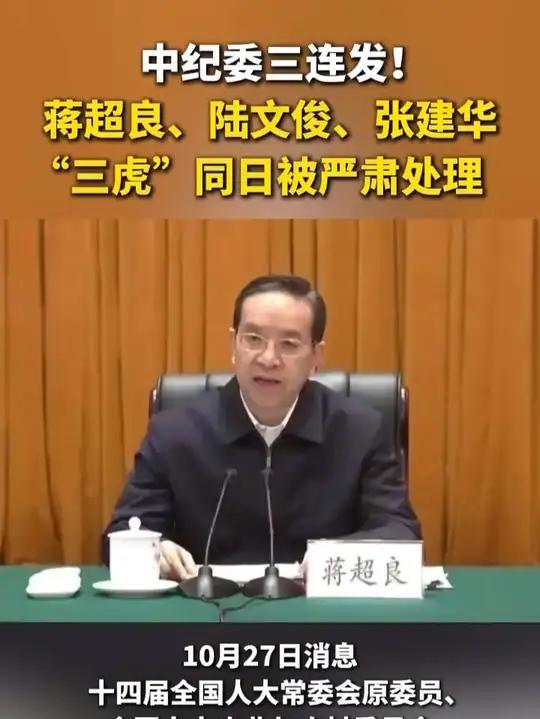 中纪委三连发!蒋超良,陆文俊,张建华,"三虎"同日被严肃处理