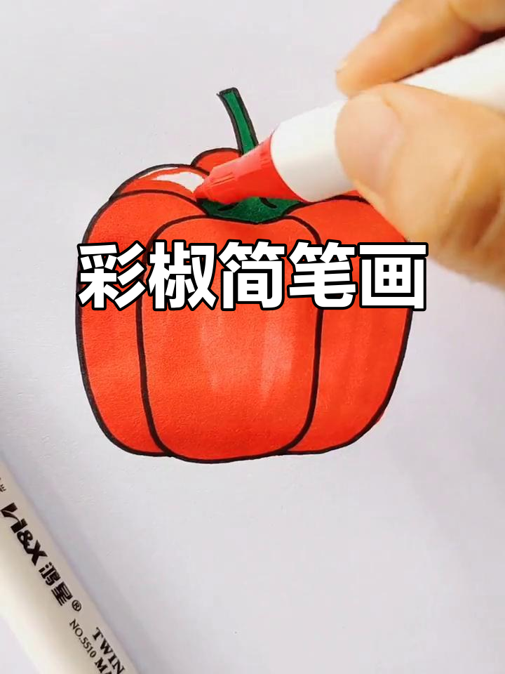 菜椒简笔画教程,马克笔上色技巧