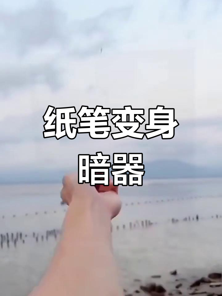黑笔做暗器