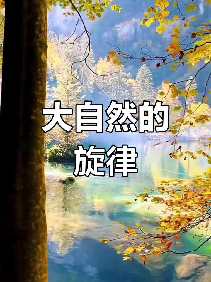 走进大自然,聆听内心的声音