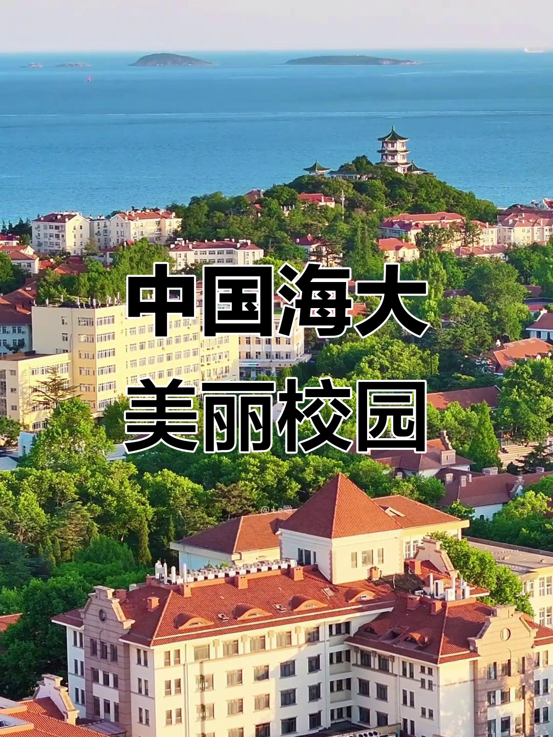 青岛最美校园揭秘:中国海洋大学魅力全景展示