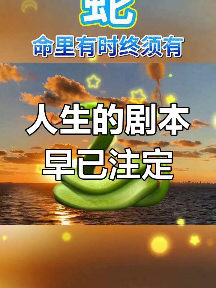 命运的安排与人生的选择