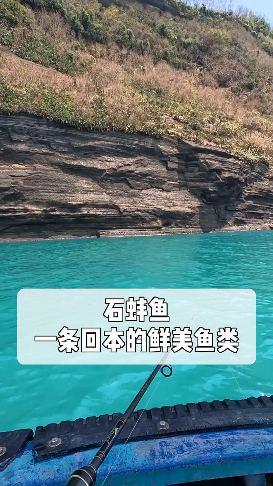 石蚌鱼,一条回本的鲜美鱼类