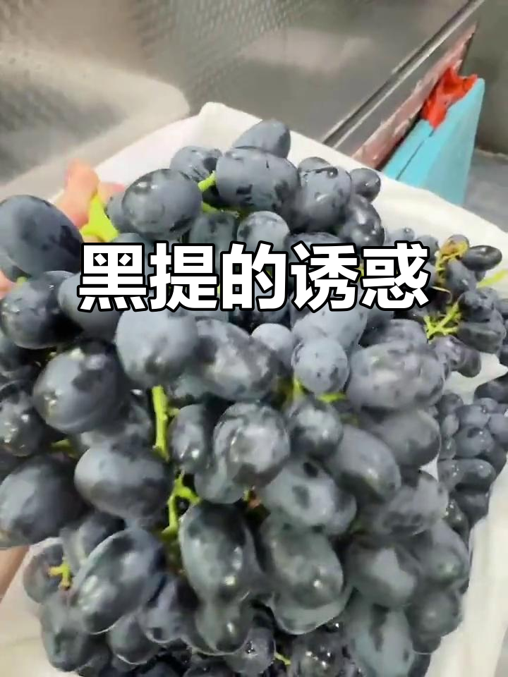 新疆黑提,甜美如布丁,一口接一口,停不下来!
