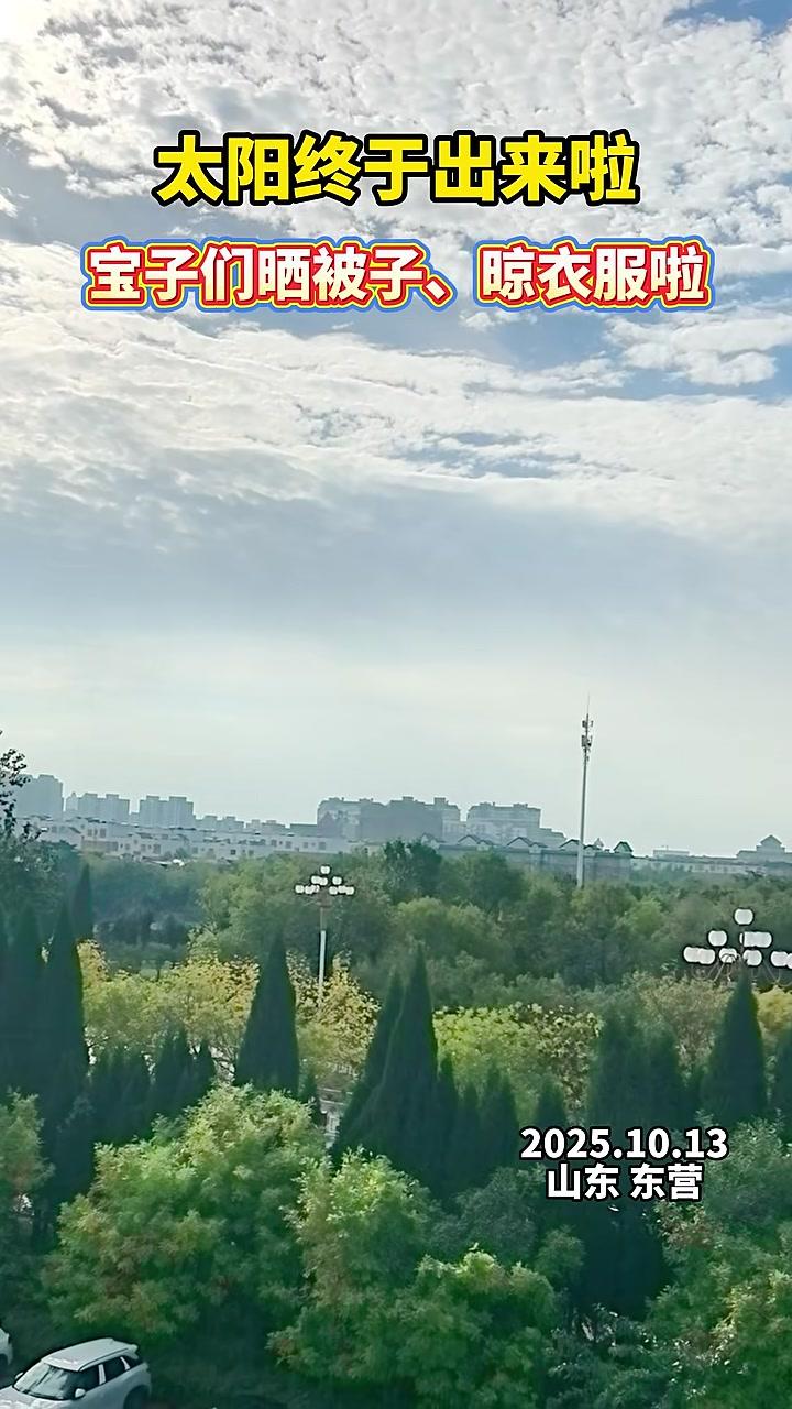 今日东营天气预报 今日东营天气预报