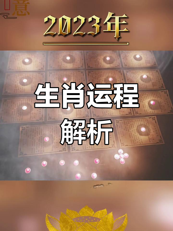 兔人2023年的生肖运势怎样(生肖兔在2023年的运势以及注意月份)