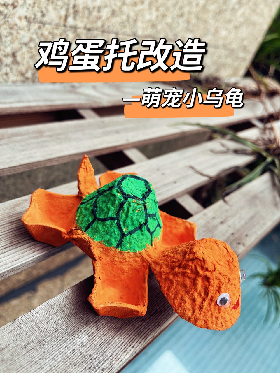亲子手工鸡蛋托改造萌宠小乌龟