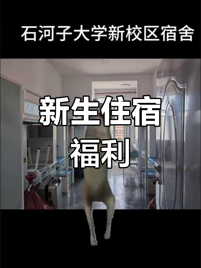 石河子大学新校区宿舍大揭秘