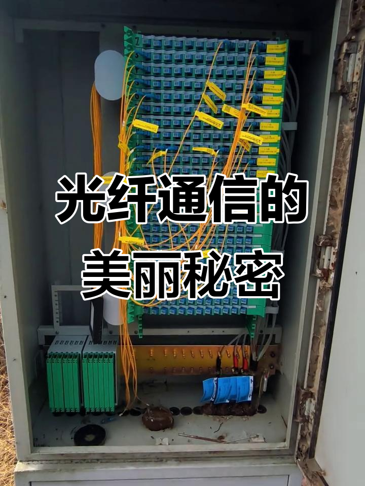 光交箱也能这么整洁,线走得如此整齐!