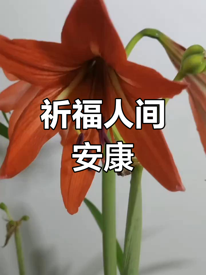 愿疫情早点过去图片