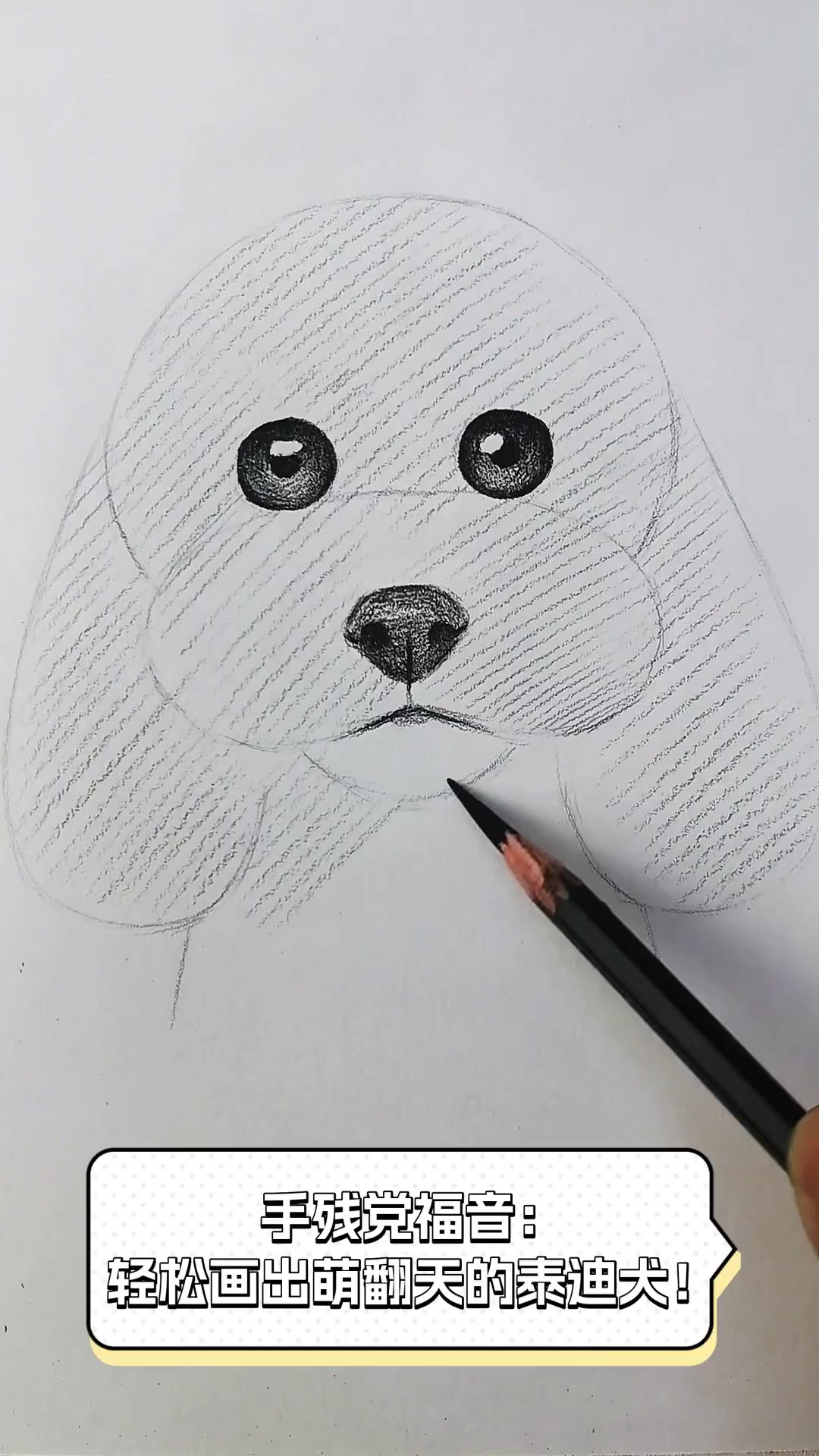 手残党福音:轻松画出萌翻天的泰迪犬!