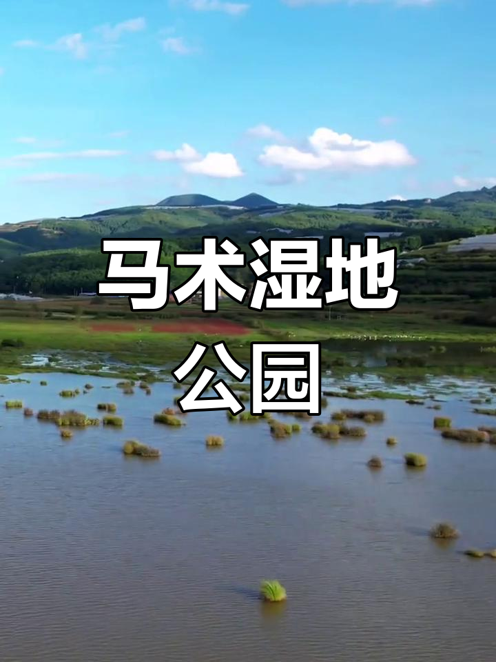 巧家马树湿地公园:黑景鹤栖息地与自然美景的完美融合