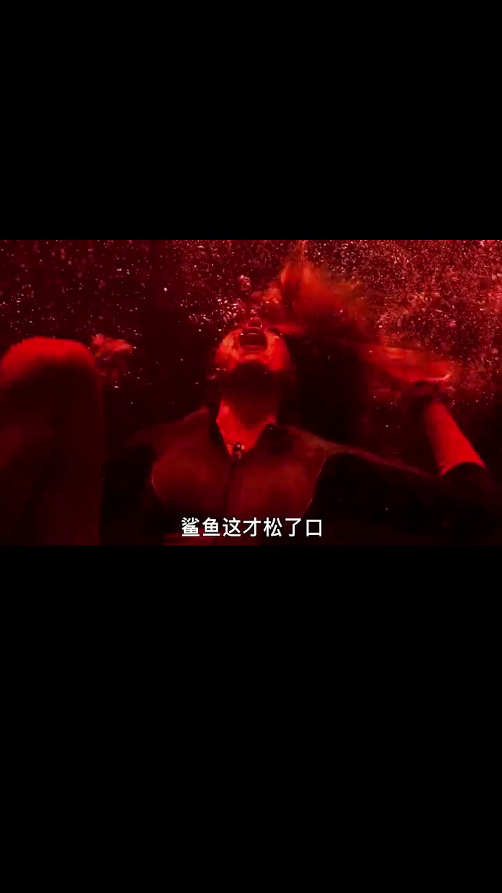 比基尼美女被食人鲨围困海面,她该如何自救