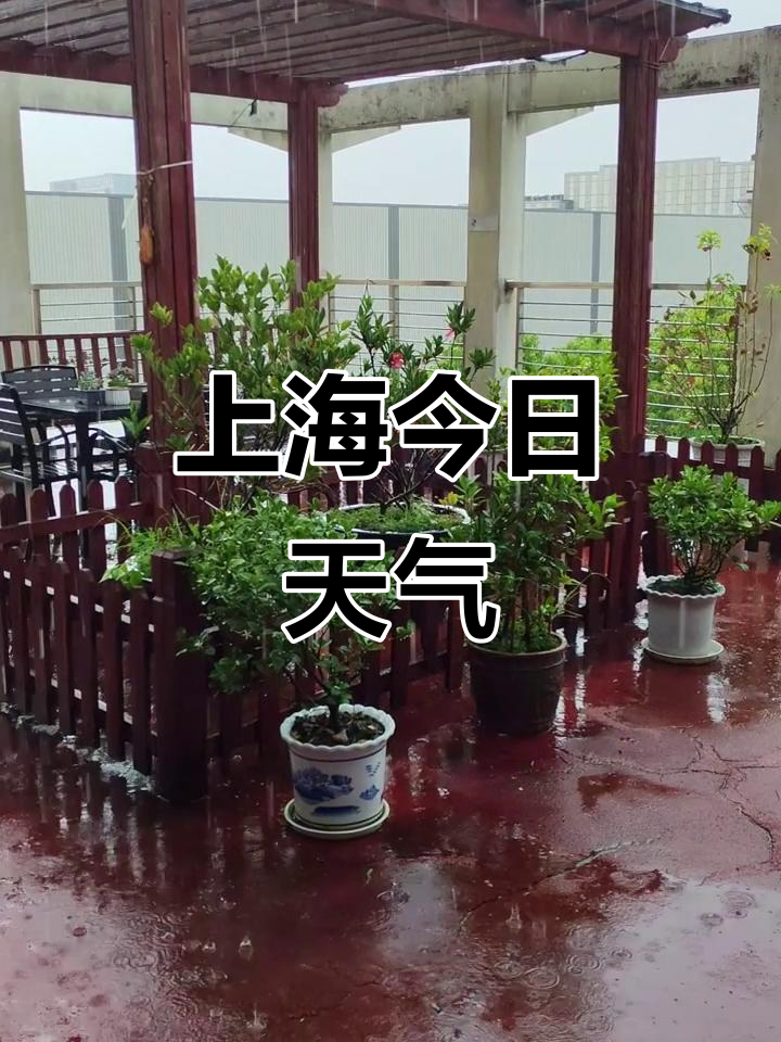 上海天气上海天气