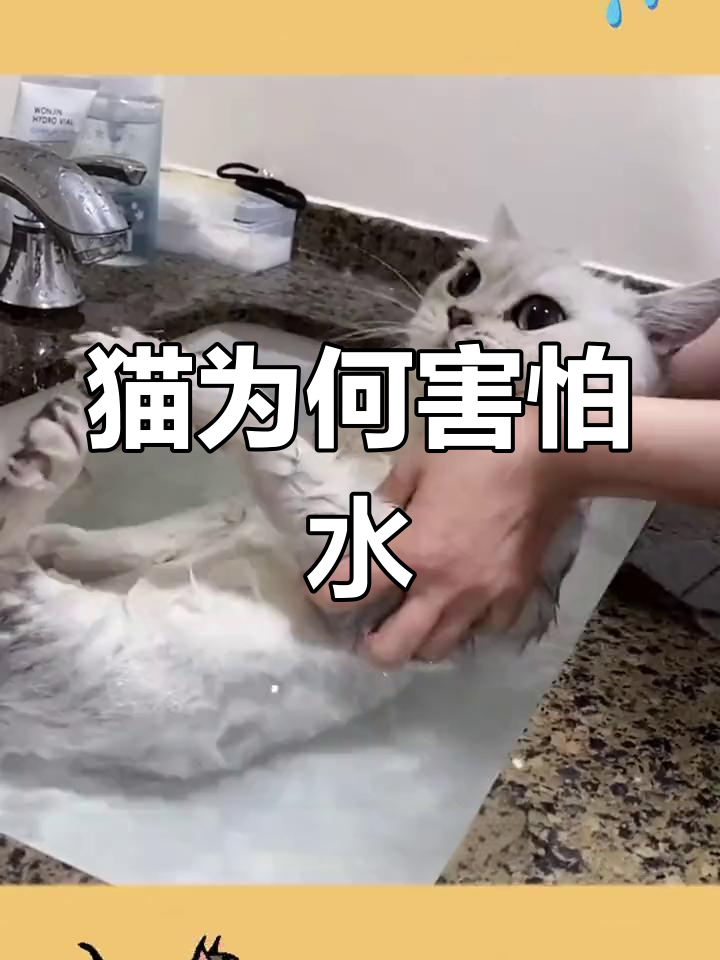 为什么怕水