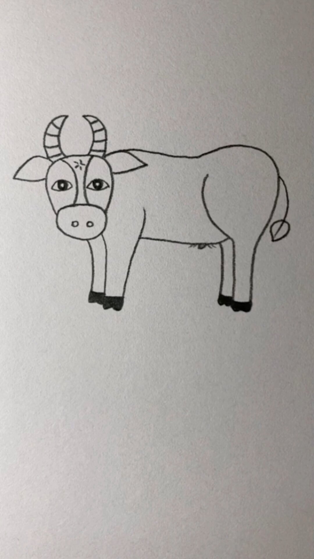画一头简单的牛图片