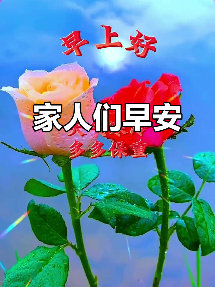 早上好,家人们!今天不能跟你们一起度过