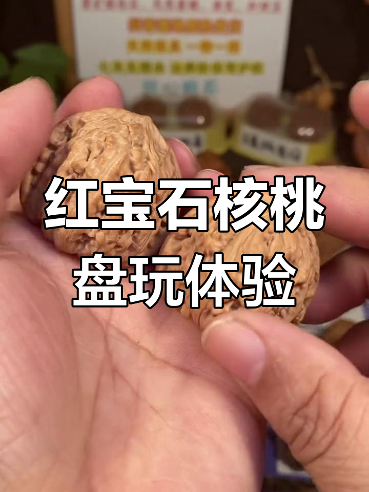 38.5红宝石核桃,细腻纹路与端正品相完美结合