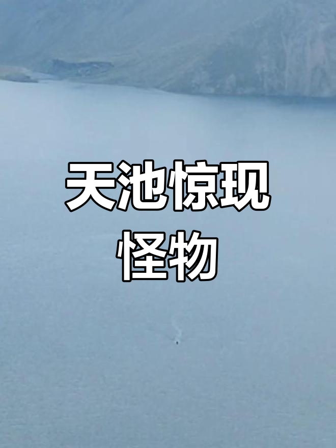 新疆天山天池不明生物 新疆天山天池不明生物